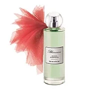 beautyavenue11934