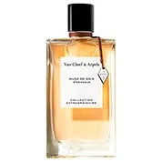 beautyavenue3731