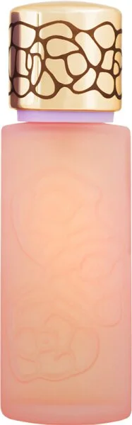 beautywelt13233