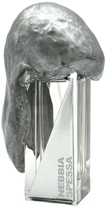 mazzolari23339