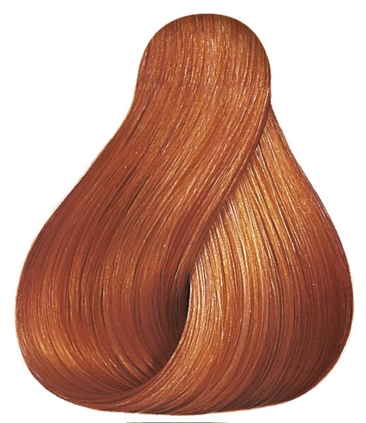 shop-strese770662