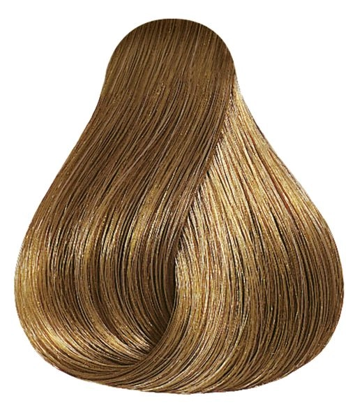 shop-strese770901