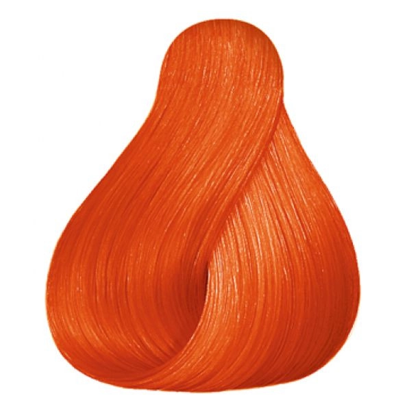 shop-strese771304