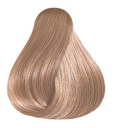 shop-strese771428
