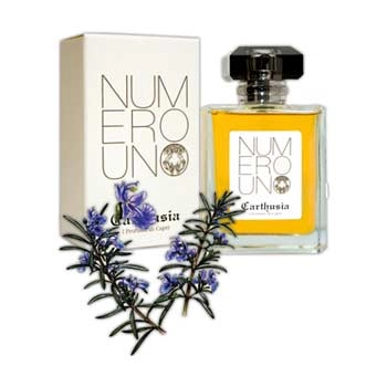 thedifferentscent27327